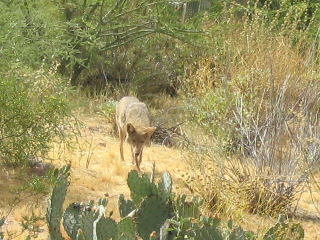 618x457 pixels (248K)